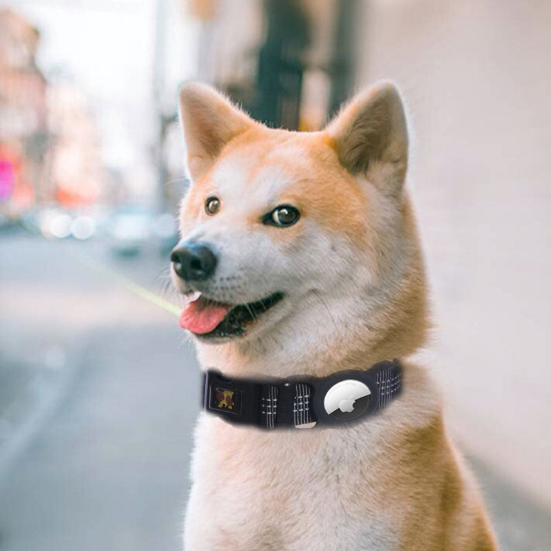 Pet Phone & Item Tracker Holder